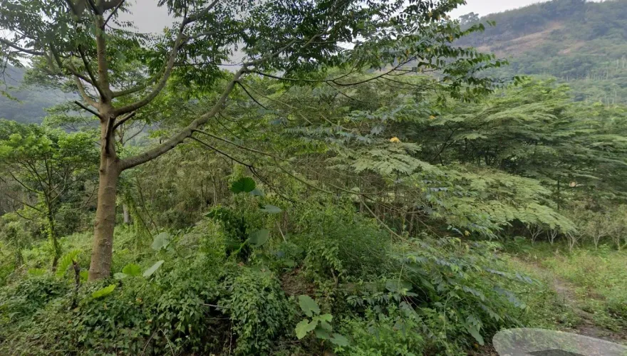 快訊/嘉義中埔驚傳嬰屍！父親自爆「是我處理掉的」檢警搜山中