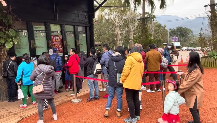 影/初一踏青走春！搶體驗帶草泥馬散步　遊客「扮龍裝」搶拿獎金