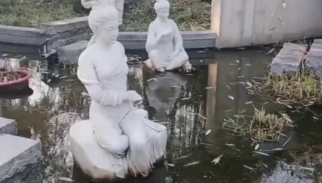 影/武漢園博園「池塘滿滿垃圾」　遊客狂吐槽：花200元來看臭水溝