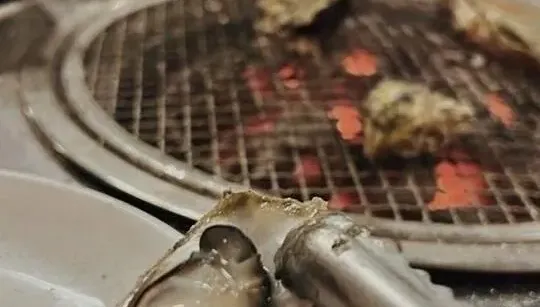 上吐下瀉！東港「烤蚵仔吃到飽」驚傳48人食物中毒　孕婦也遭殃