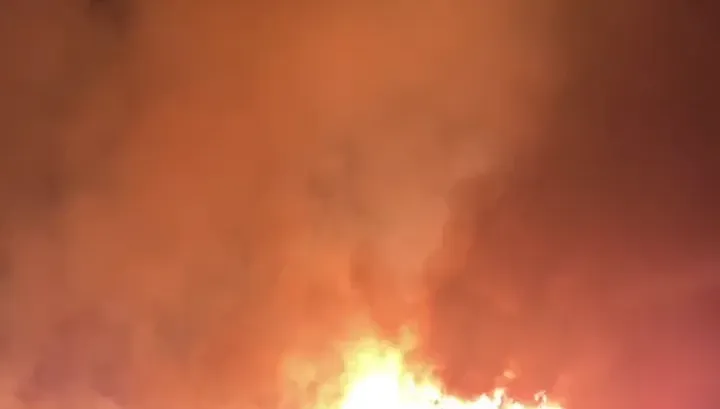 影/潮州暗夜200米火牆！NCC電波監測站野火燎原　差點燒到台糖林木