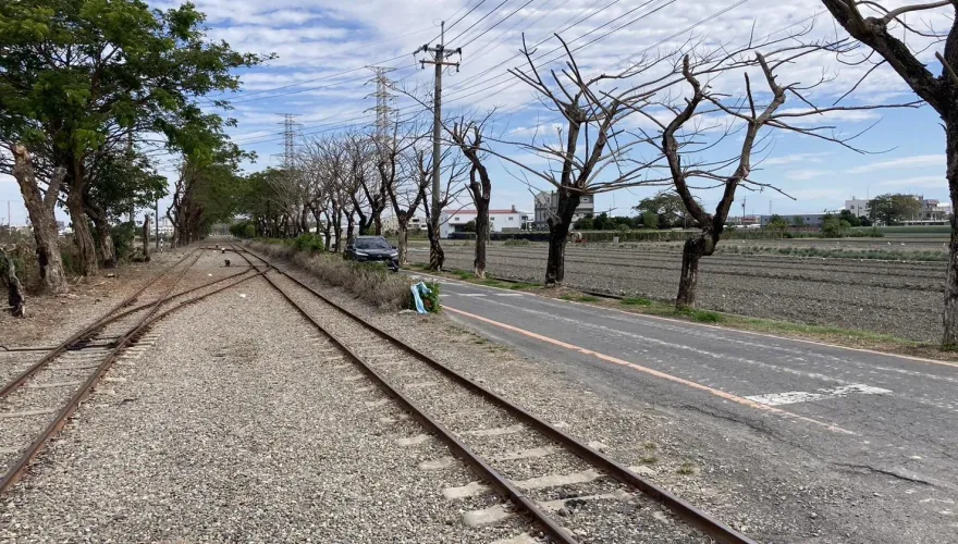 彰化「國家綠道」30行道樹慘遭毒手　注毒、火焚、剝皮害枯死...縣府急揪兇