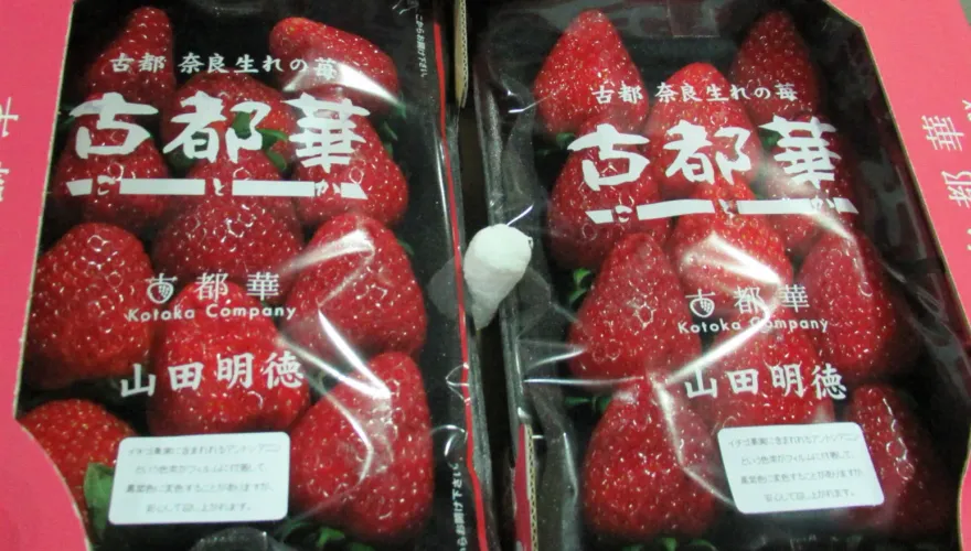 快訊/日本草莓又出事！10批農藥超標1.4噸銷毀　累積7廠遭下「禁輸台令」