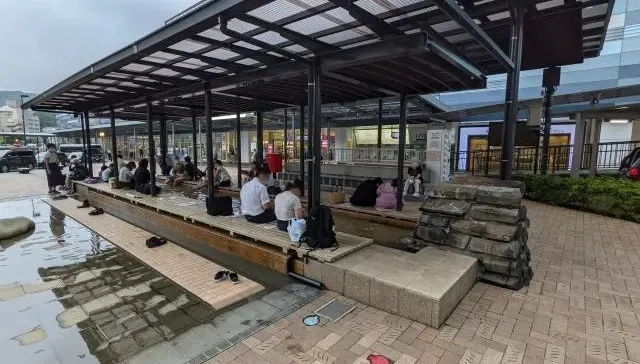 影/逗趣畫面！日熱海車站足湯池旁鴿子群聚　學人類「泡湯暖腳」