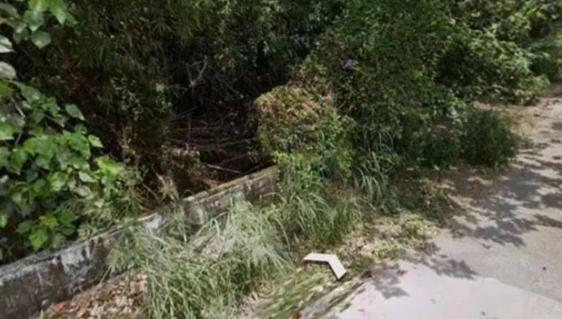 員工放炮害雞不下蛋！老闆斷頸致死、推落橋　「帶律師投案」想脫罪
