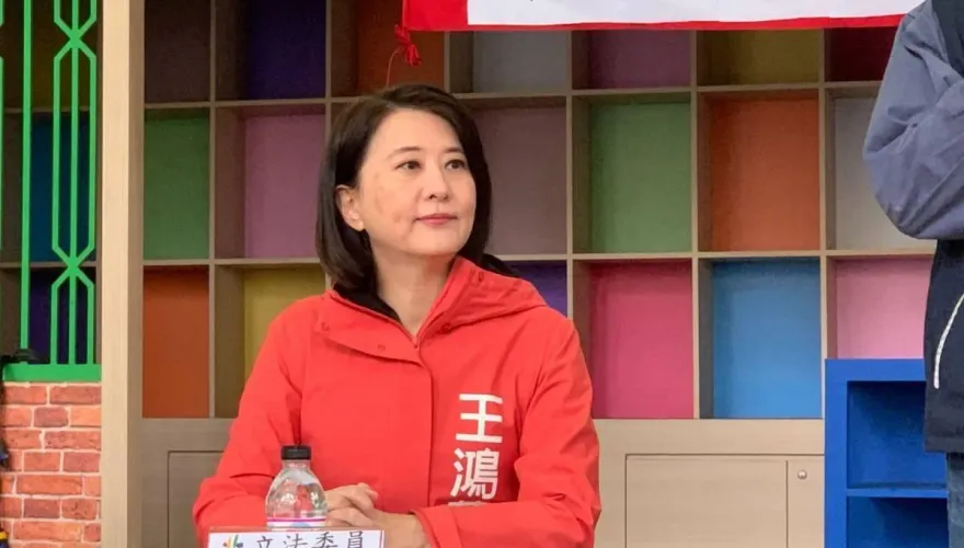 卡韓真相？王鴻薇揭民主基金會淪「綠友友」小金庫！林飛帆、沈伯洋狂拿補助