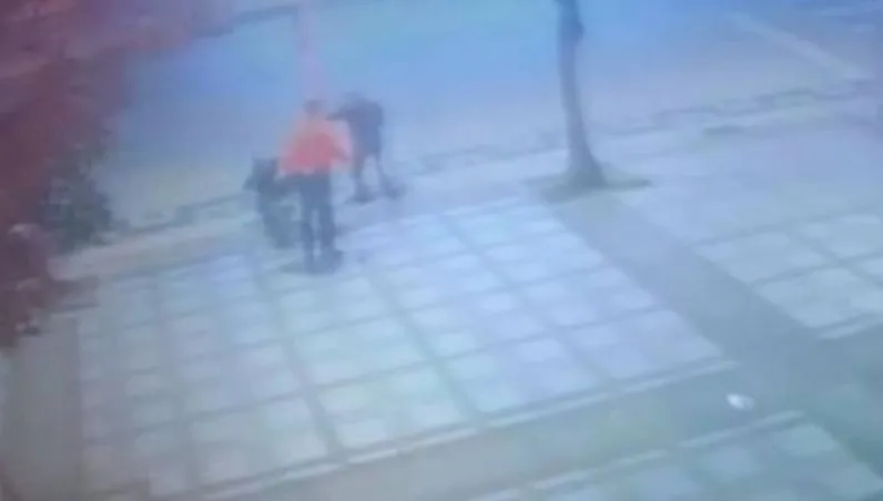 艋舺公園爆群毆！酒後喧譁害他睡意全無　5旬女遭踹倒地不起
