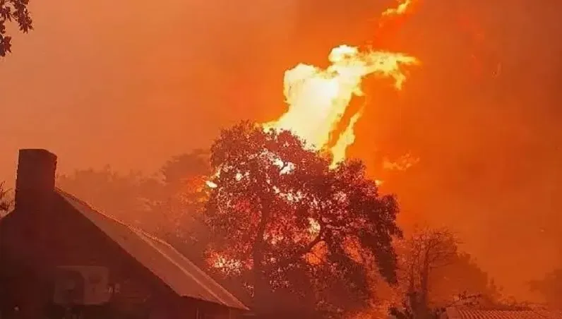 影/澳洲爆發近年最嚴重森林大火　3萬民眾被迫撤離