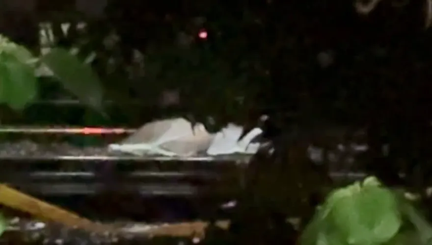 快訊/開車衝撞八堵派出所嫌犯　徒步逃逸闖越鐵道遭火車撞碎屍塊四散