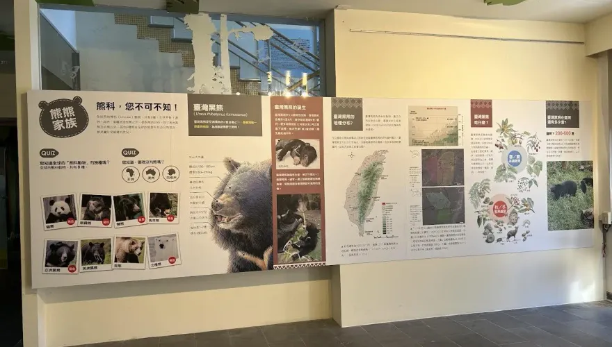 登山順便看熊熊！玉山塔塔加「台灣黑熊特展」開跑　園內至少139隻