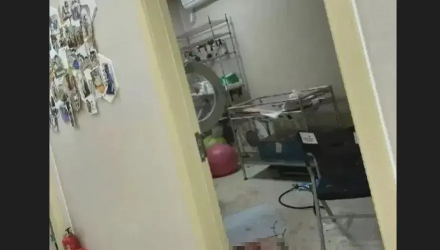 動物醫院高壓氧艙爆炸！正妹飼主遭砸「五官碎裂、頭骨爆裂」夫悲訴：恐腦死