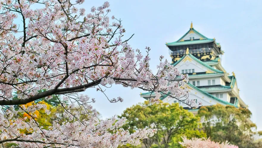 遊大阪恐變貴！應對「觀光公害」　當地擬對外國旅客收費