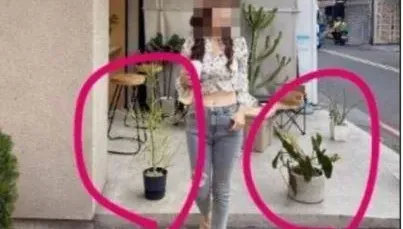 「擅移盆栽」拍照挨罵！跑咖網美怒公審咖啡廳　老闆最新回應曝