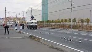 深夜未歸遇死劫！2歲童「偷溜外出」父母急找　屍體爆頭倒臥馬路慘死