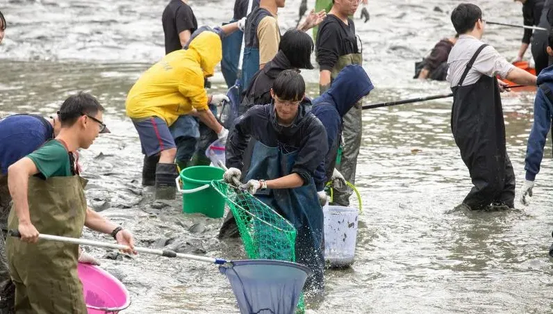 中興湖百人清池「吸引日媒參與」　撈出300生物與「20年前Nokia手機」