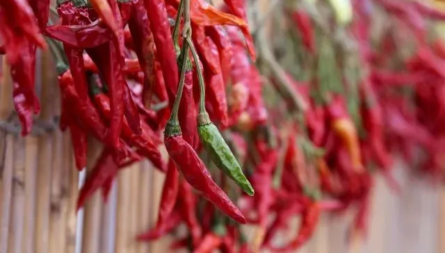 無辣不歡怎麼辦？名廚教你在家「DIY辣椒醬」不怕吃到蘇丹紅