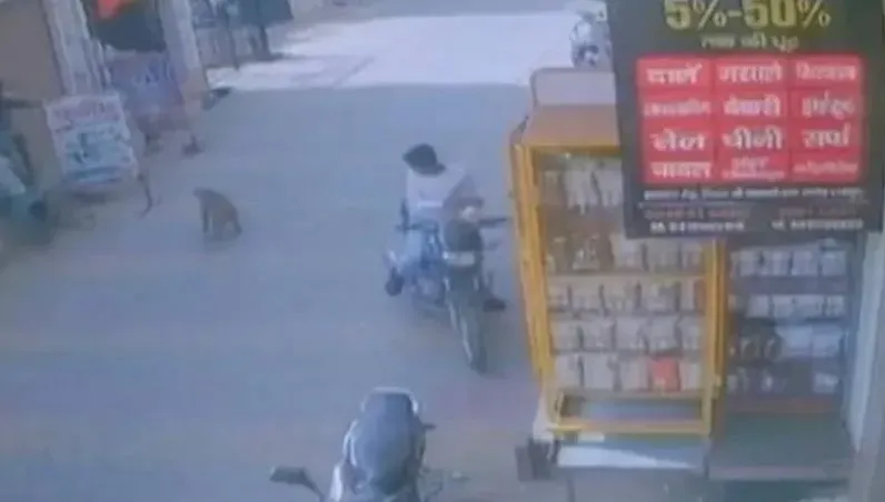 影/印度潑猴大街上撕咬男童「目擊者冷旁觀」！宗教因素摻雜造成猴群流竄