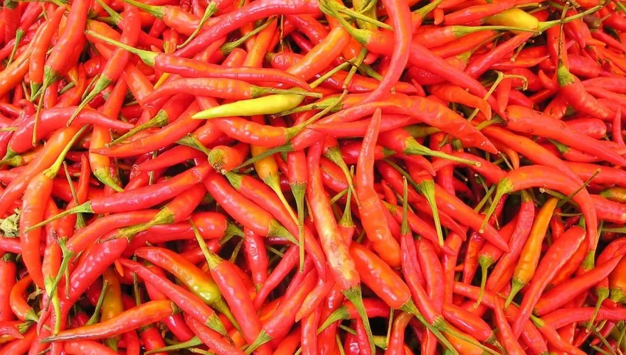 蘇丹紅風波延燒！國產辣椒3月批發價漲逾20元