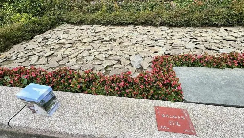 剴剴已長眠陽明山！親友提醒「不能合掌祭拜」原因曝