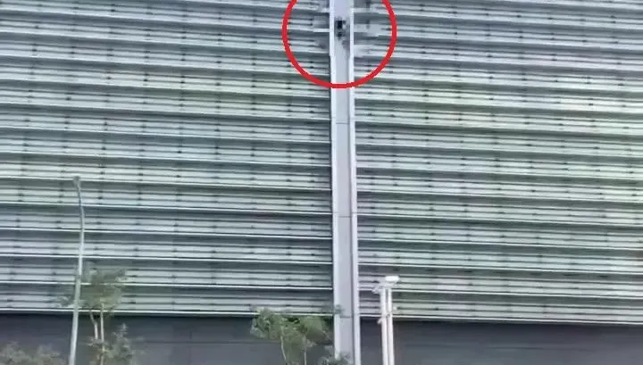 影/玩命畫面曝！跑酷教練潛南港展覽館　沿9樓外牆蜘蛛功爬下