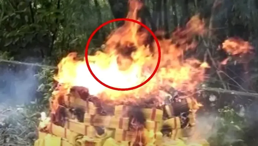 竹林白骨案3/靈異巧合助警10天破案　祭亡靈燒冥紙現「人臉」螽斯駐留線香