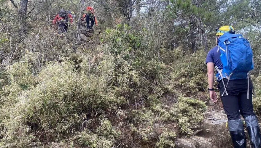 山友嚇壞！台南男攀玉山突倒地身亡　嘉檢相驗釐死因