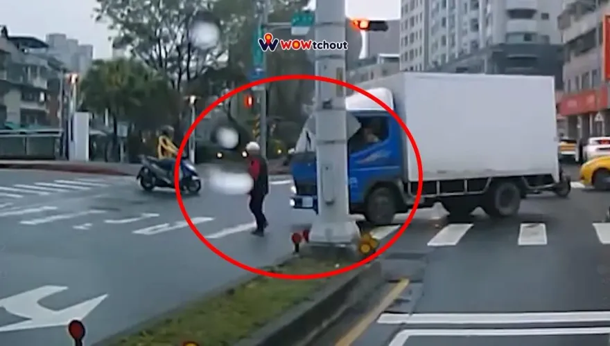 影/乖乖走斑馬線卻遭撞！63歲婦倒地不起　小貨車駕駛將吊扣駕照