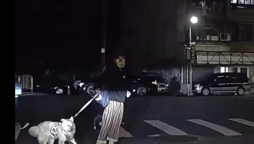 影/帝王行人？鬍渣男牽狗故意站斑馬線「悠哉點菸哈草」1分鐘