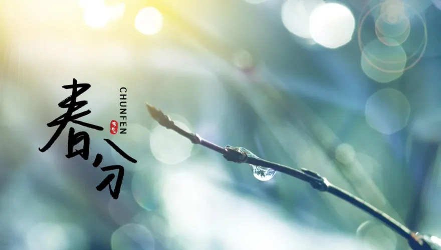 3/20「春分」節氣到！12生肖上半年運勢一次看　屬龍貴人運超旺