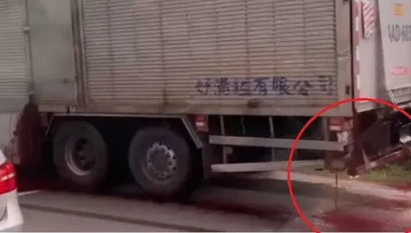 桂林在裡面？大貨車「鮮血直流」濺滿地　網友嚇喊太恐怖