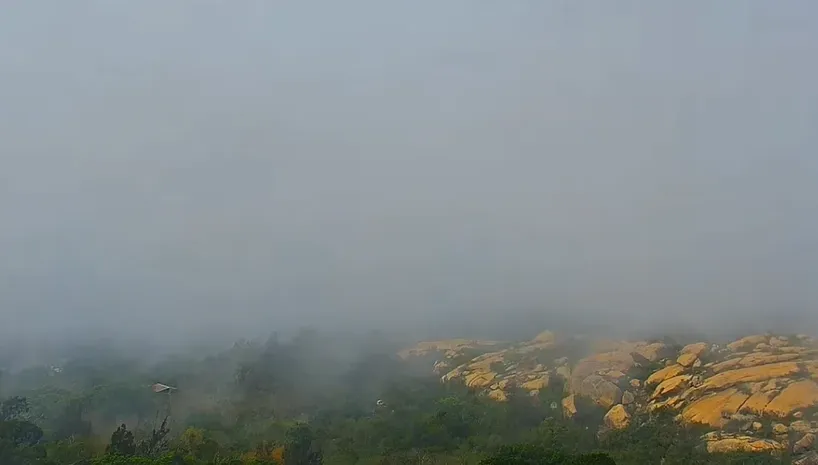 霧鎖金門！小三通五通航線一早停航　旅客苦等1個多小時