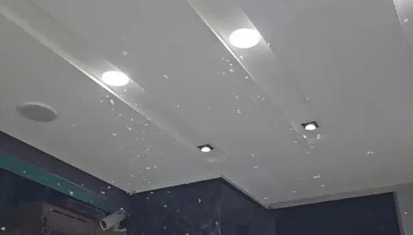 影/「大水蟻」提早出沒！整群騎樓狂飛　鄭明典：雷雨季逼近