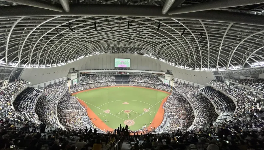 防打假球！運動產業條例三讀　最重關7年、罰3000萬