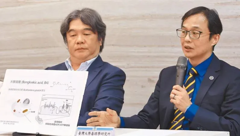 台灣首見！米酵菌酸「10年奪陸43命」無色無味高溫殺不死「5大原則逃死劫」