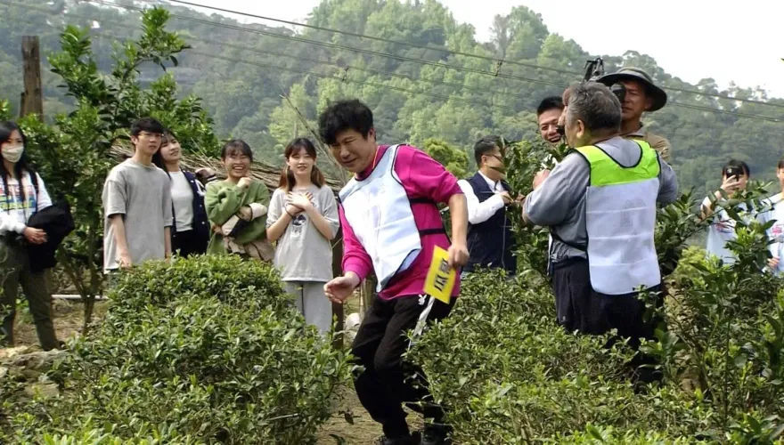 胡瓜放話做到1事就發3000元！茶園主人一聽態度大轉變