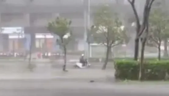 快訊/士林、淡水1353戶停電！強風打落電線「起火燃燒」　台電搶修中