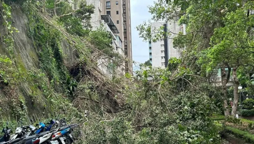 北市降雨吹強風！內湖站施工圍籬脫落、路樹傾倒釀1傷