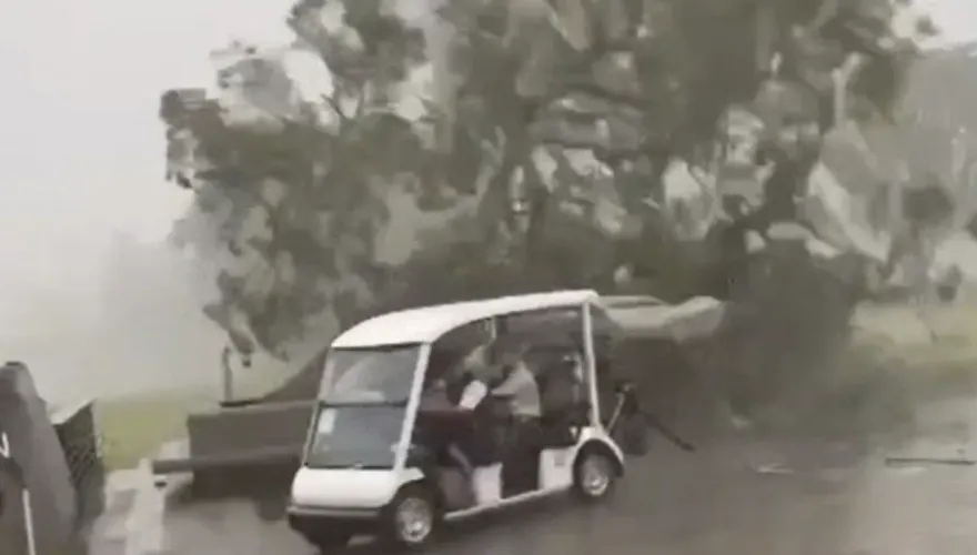 影/狂風暴雨襲淡水！高球車驚險閃過倒下的50年老樹