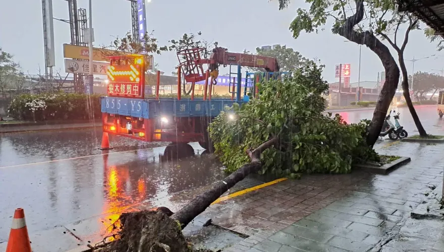 午後強風驟雨！北市43件樹倒通報冒雨搶災　內湖男遭樹壓傷送醫