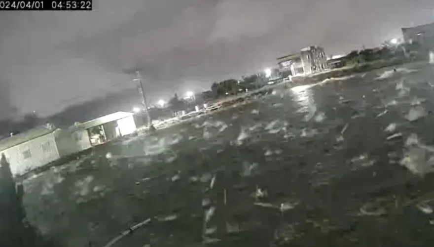 7.2強震撼全台/強震早有預兆？台南虱目魚群突「暴動亂跳」　震撼畫面曝