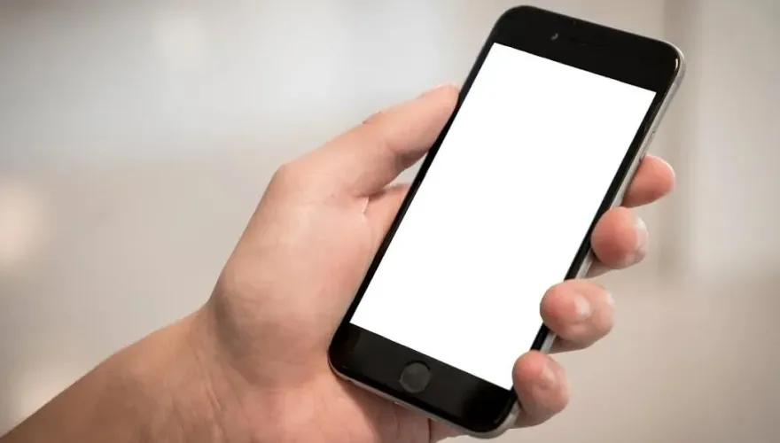 地震沒收到國家級警報？　網大推「1款App」：提前好幾秒還很準
