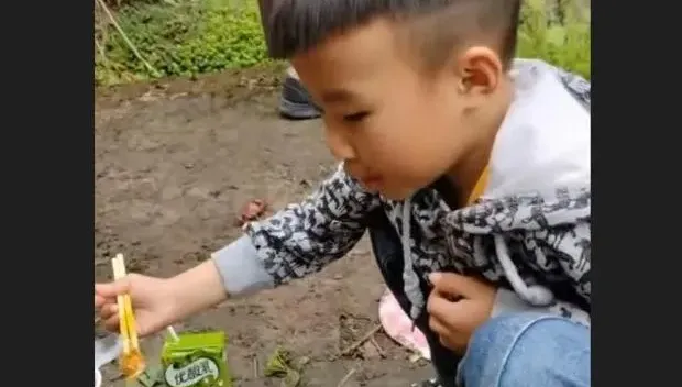 驚！6歲男童掃墓在墳前「吃爺爺供品」引論戰　網挺：這是家宴