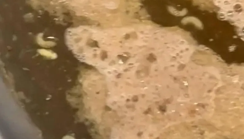 滿滿高蛋白！火鍋吃到一半驚見「20隻蛆」漂湯面　自嘲：是蛆蛆鍋