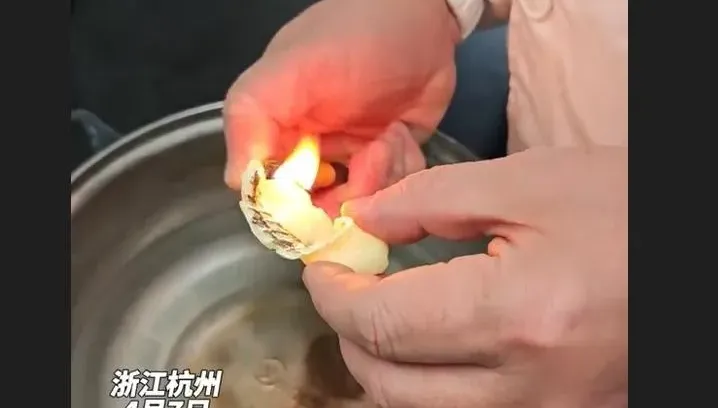 影/Q到咬不下去！酸菜魚裡疑吃到「假魚片」點火燒竟冒黑煙飄刺鼻塑膠味