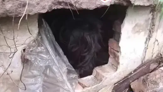 影/早起運動驚見「墳墓裡有活人」！歐吉桑嚇壞急報案　意外助警逮通緝犯