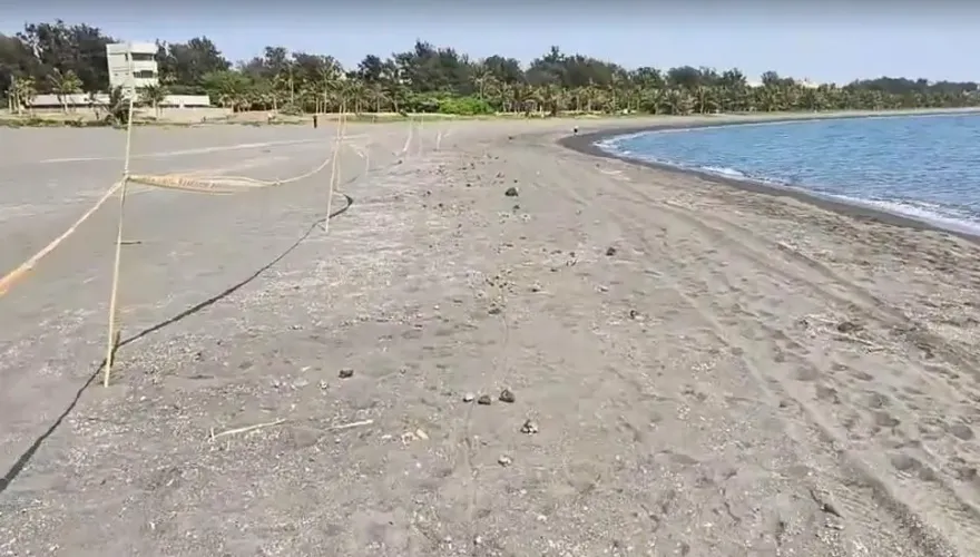 影/高雄旗津沙灘又出現不明油汙！海洋局：初步了解是重油汙染