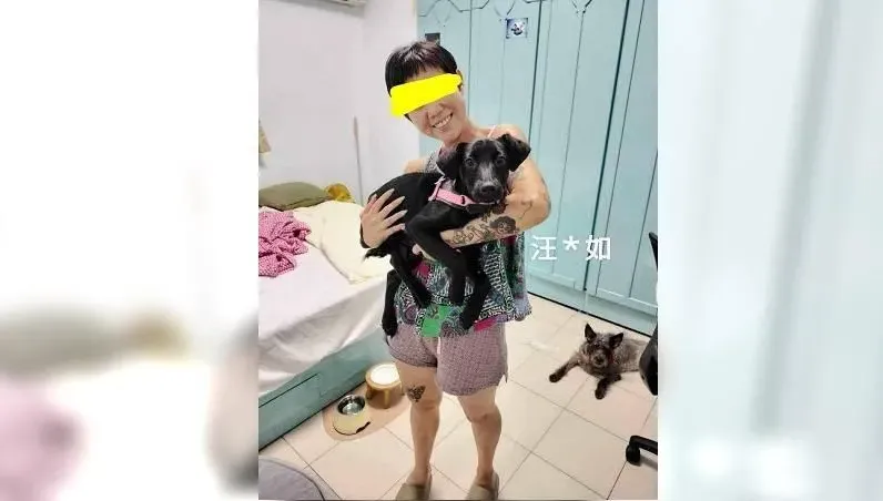 幼犬髖骨疑遭「活活打斷」！　刺青女苦毒毛孩...只為騙醫藥費