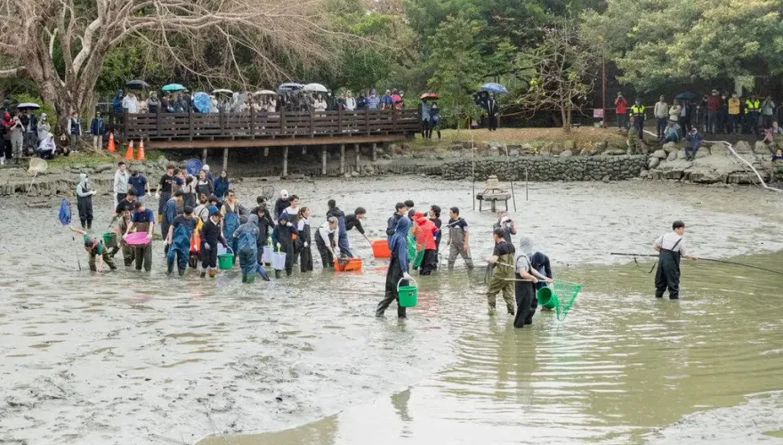 日本人也吃驚！中興大學清池海撈300隻生物　竟藏匿外來種「黑鰱、長絲巨鯰」