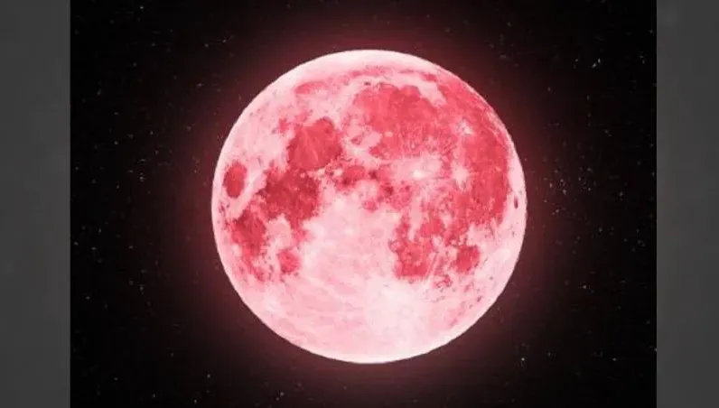 今晚7時22分！奇景「粉紅月亮」現身馬來西亞