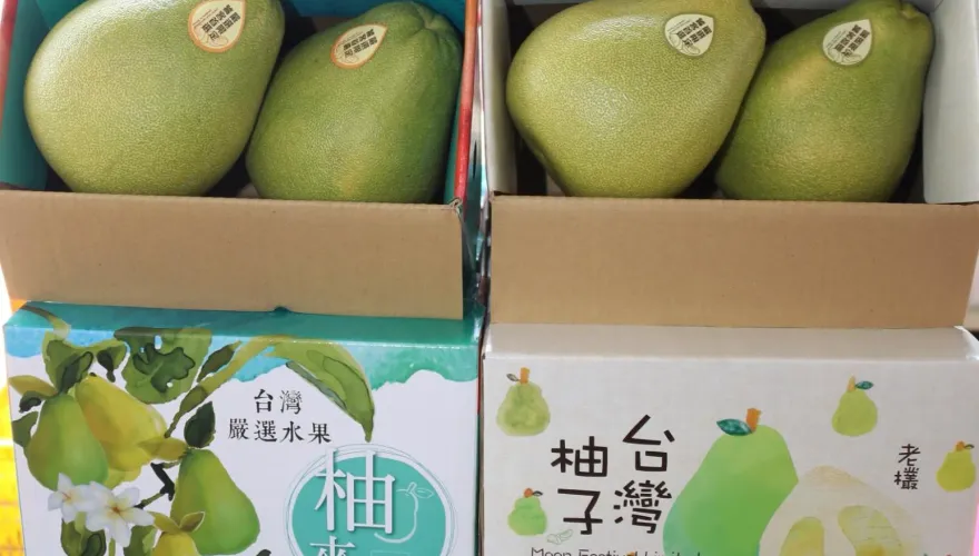陸釋善意+1！海關總署：台灣文旦柚若符「檢疫要求」可輸入